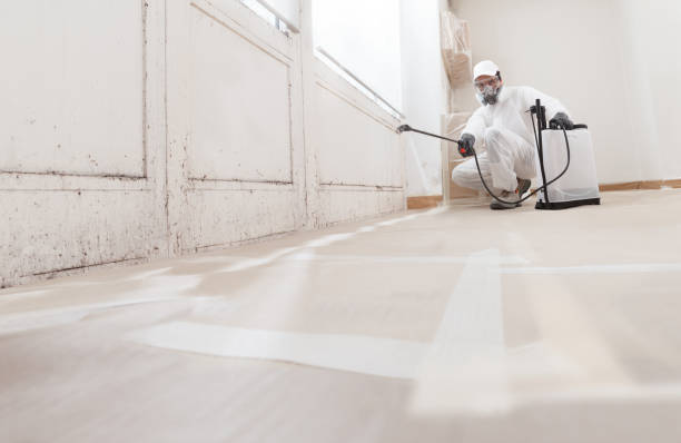 24/7 Emergency Mold Remediation experts in Waverly, VA