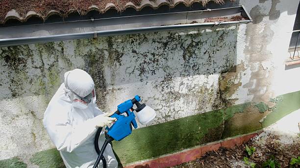 Top rated local Mold Remediation specialists in Waverly, VA